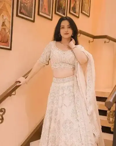 Escort Besant Nagar